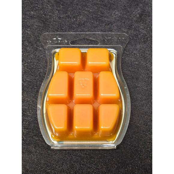 Authentic Scentsy Blue Watercolor Electric Wax Warmer w Berry & Strawberry Melts - Picture 6 of 12